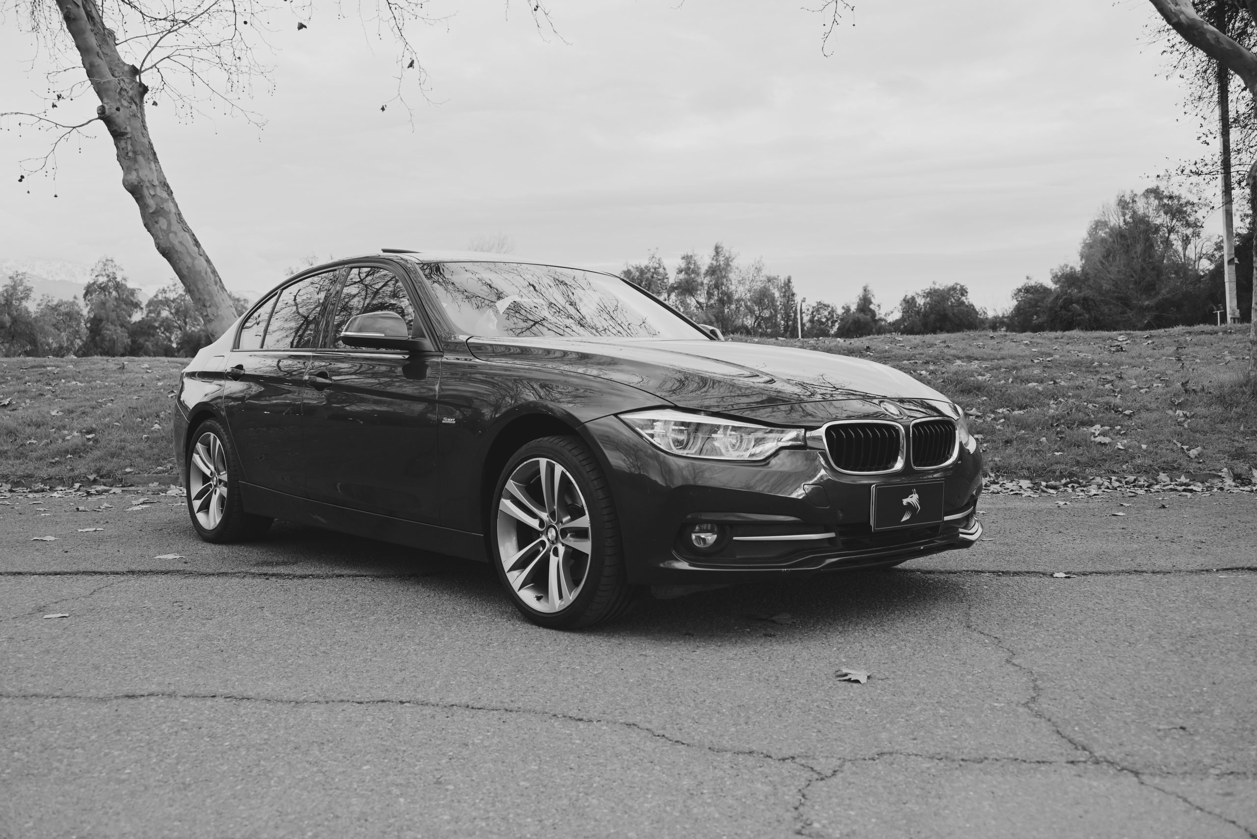 BMW 320d Sport – Wolf Motors